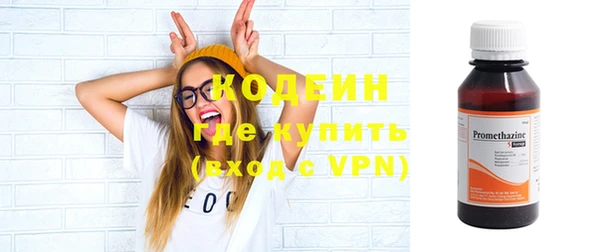 хмурый Арсеньев