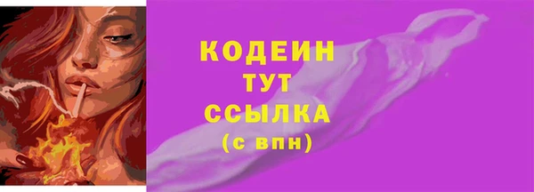 хмурый Арсеньев