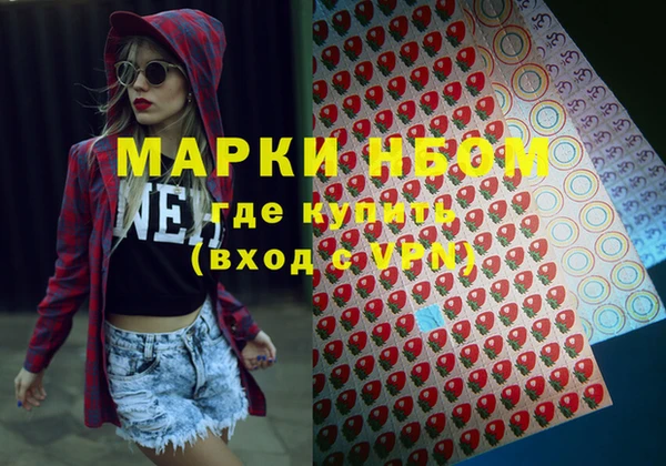 хмурый Арсеньев