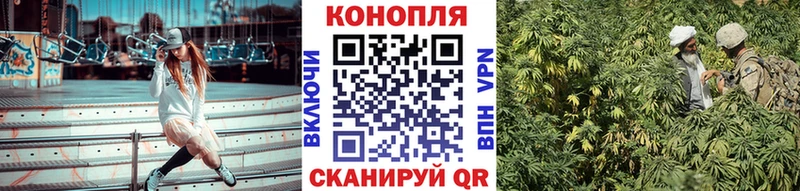 Канабис индика Няндома